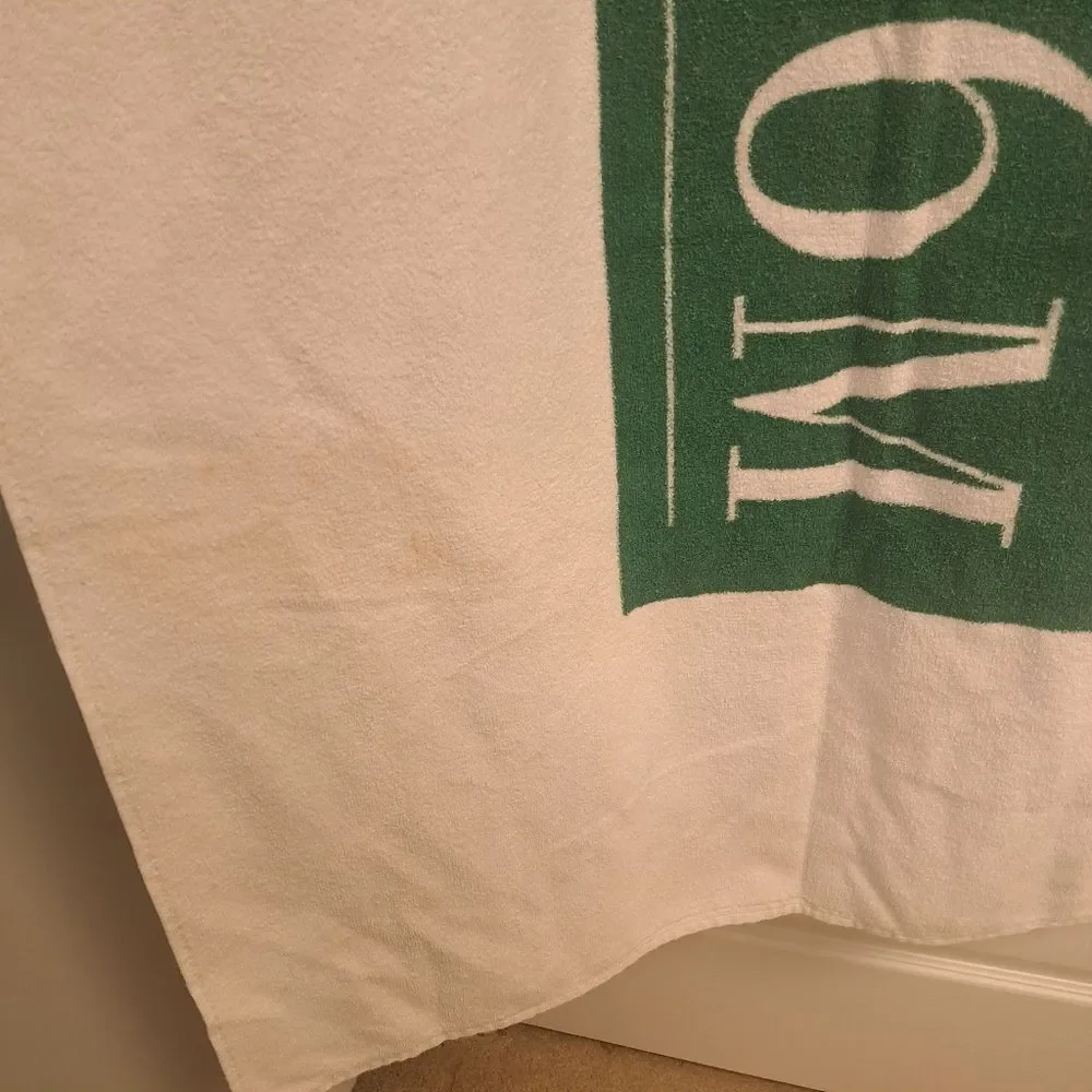 Oversized Beach Towel Lottery Money Print